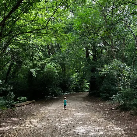 Mare - Modern With Swimming Pool And Jacuzzi Вилла Пула