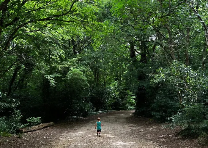 Mare - Modern With Swimming Pool And Jacuzzi Vila Pula